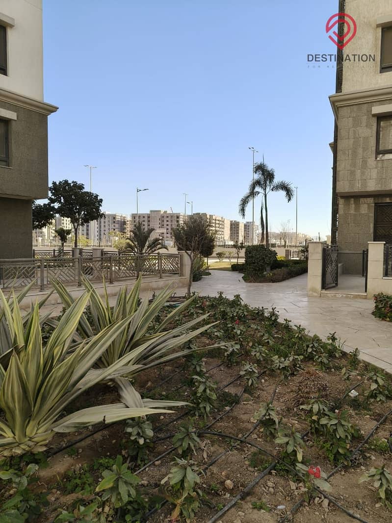 14 9e863acd-df83-4657-b18b-b597fdedb66b. jpg