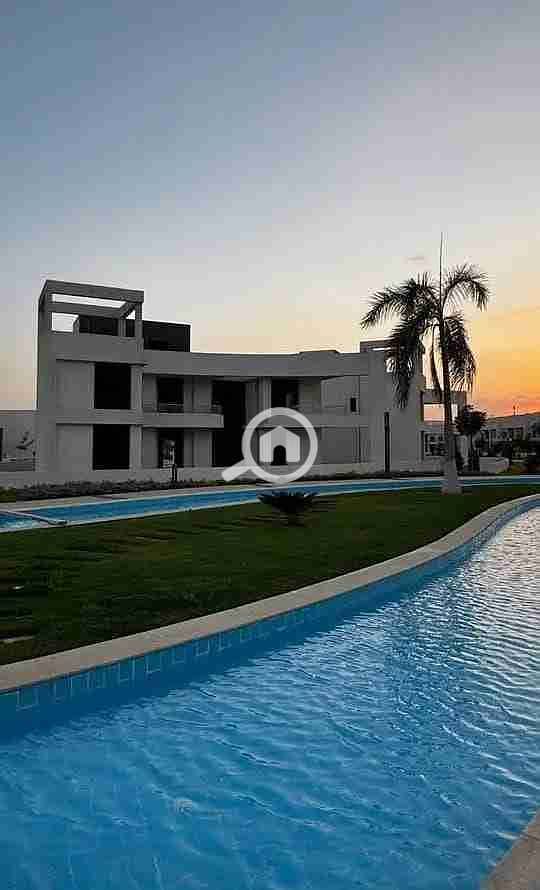 1000482748. jpg 1000482748. jpg