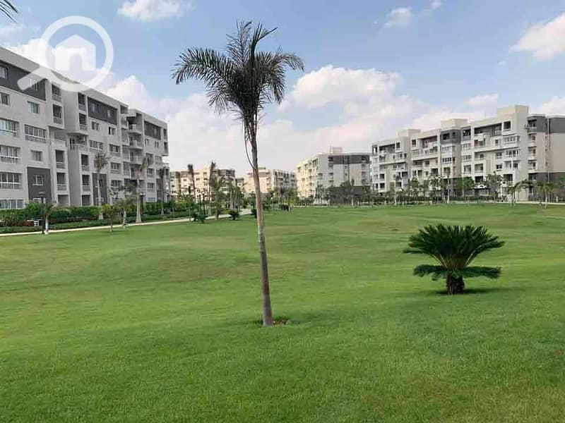 3 WhatsApp Image 2024-09-12 at 12.36. 53 PM (2) - Copy. jpeg