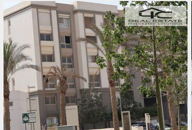 3 WhatsApp Image 2026-01-19 at 3.09. 39 PM (1). jpeg