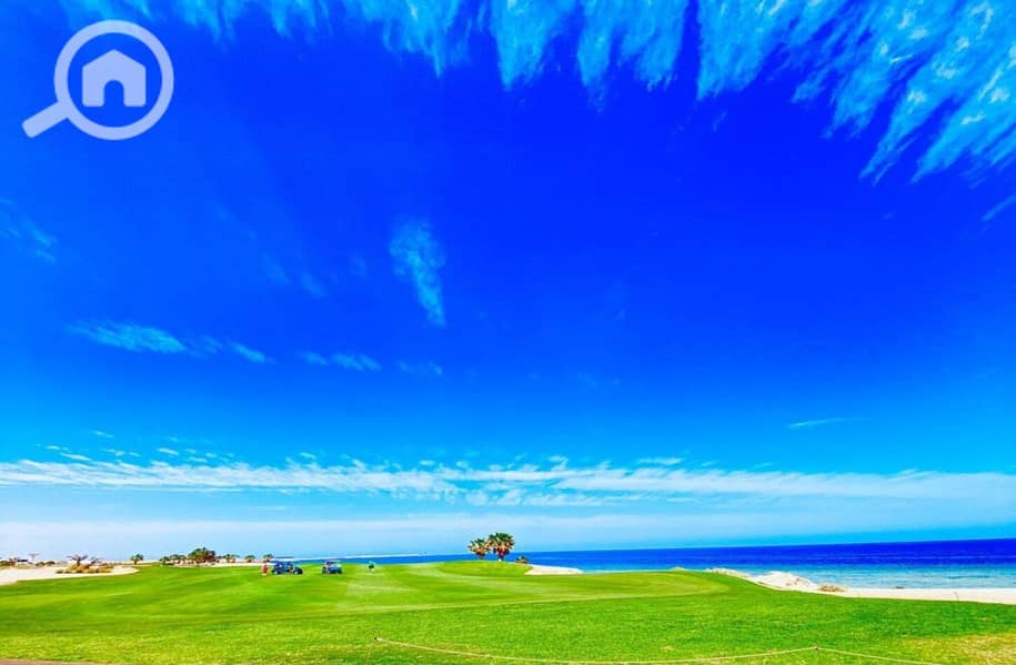 8 photo_2024-03-04_13-40-02. jpg