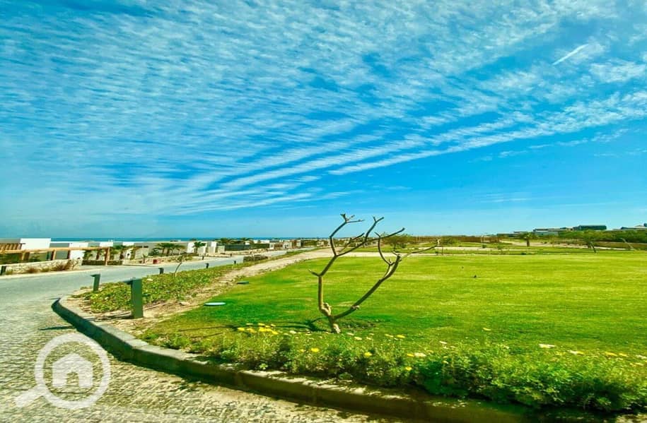 9 photo_2024-03-04_13-40-06. jpg