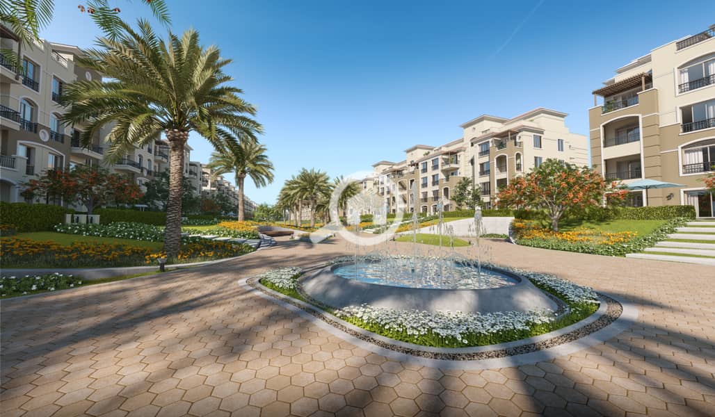 11 Spine-A-Area-1-Cam-B-03. jpg