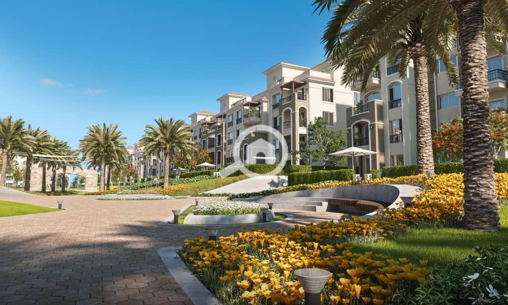 14 Spine-A-Area-01-Cam-D-02. jpg