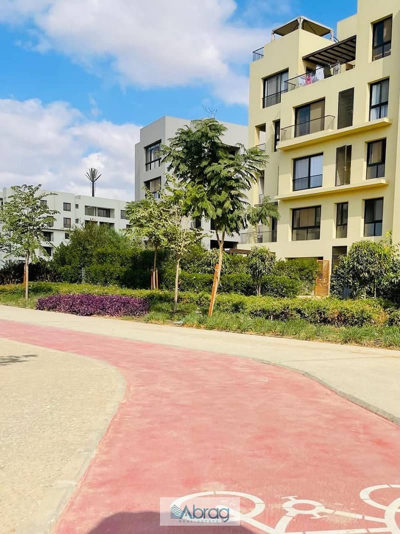 4 de1f10a9-05b8-43e8-b949-9f2e2c6a5c0e. jpg