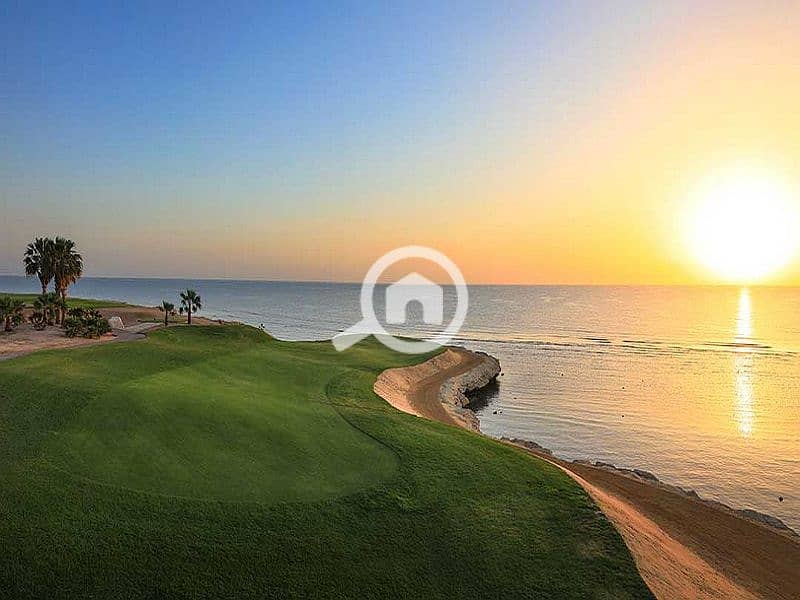 18-1-1big. jpg 18-1-1big. jpg