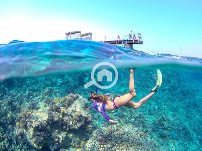 7 Snorkeling-1024x683. jpg