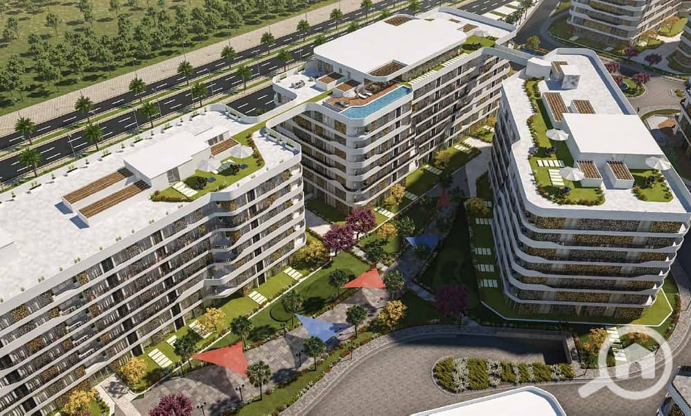 10 Screenshot_19. png