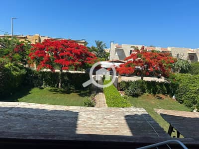 2 Bedroom Chalet for Sale in North Coast, Matruh - WhatsApp Image 2026-01-15 at 15.37. 03 (1). jpeg