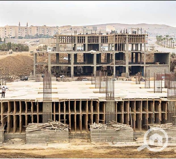 12 Screenshot_19-1-2026_115957_. jpeg