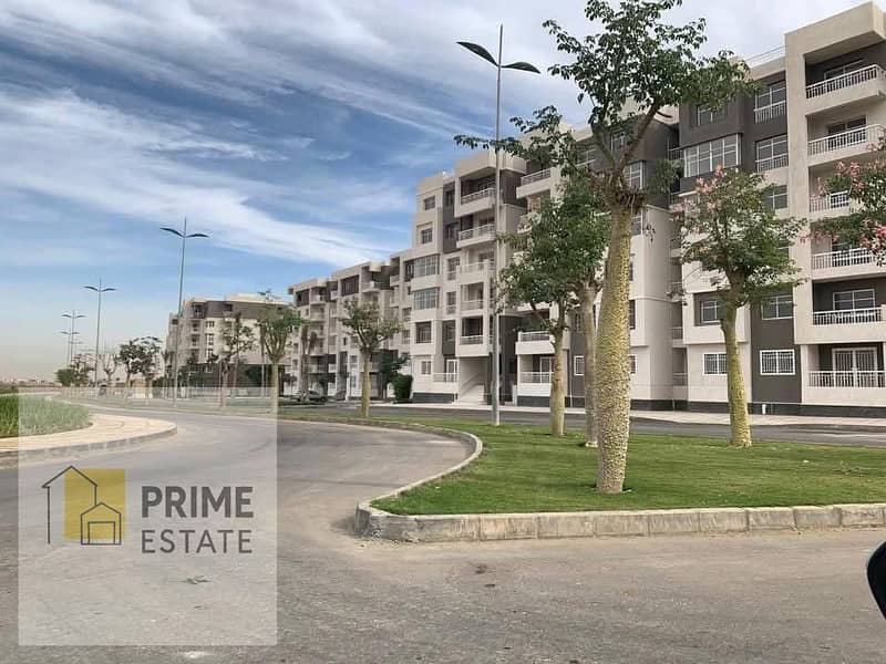 3 WhatsApp Image 2026-01-19 at 6.09. 29 AM. jpeg