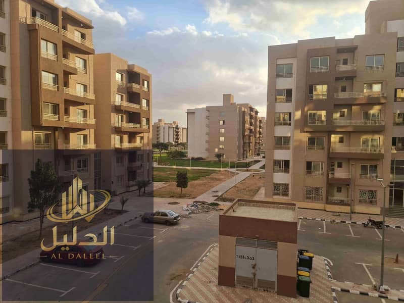 4 ٢٠٢٦٠١١٣_١٦٠٩٣٤. jpg