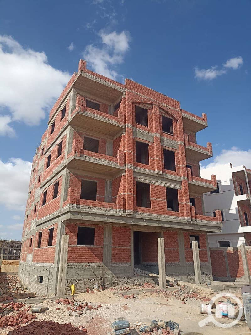 4 photo_5965449552988933055_y. jpg