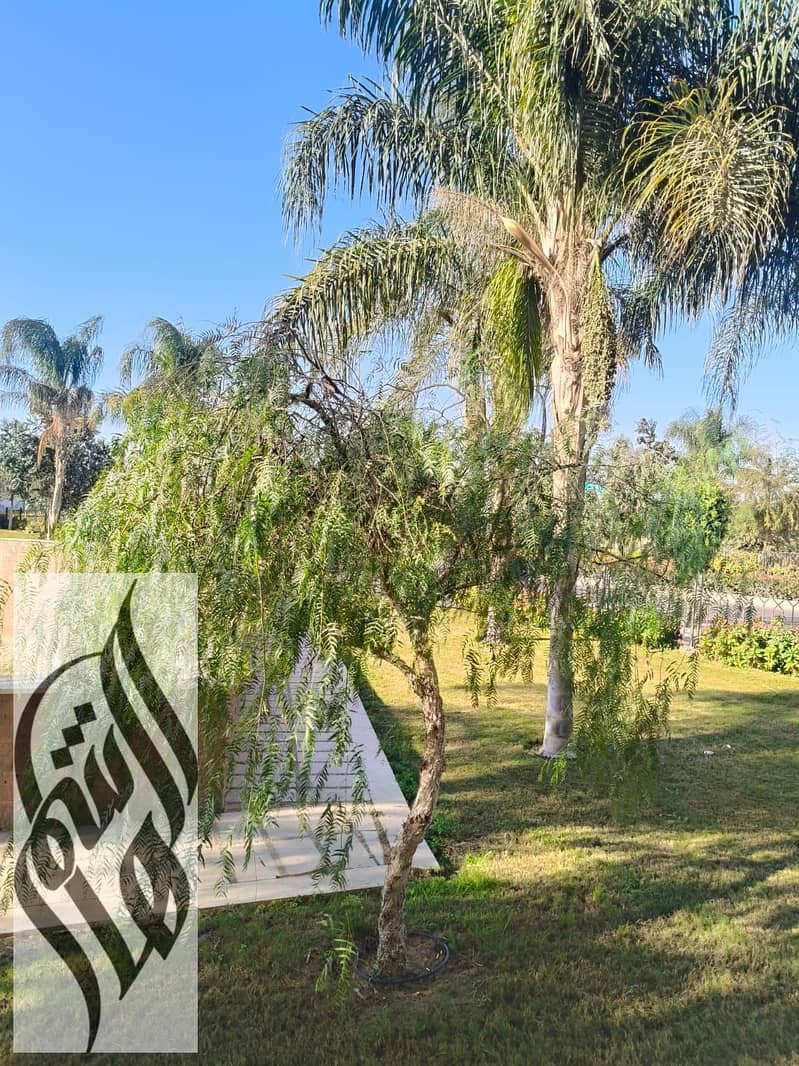 5 WhatsApp Image 2026-01-19 at 12.53. 34 PM. jpeg