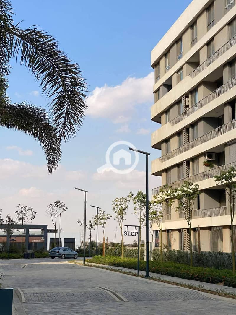 12 609188562_25274278748940537_7968063098852876607_n. jpg