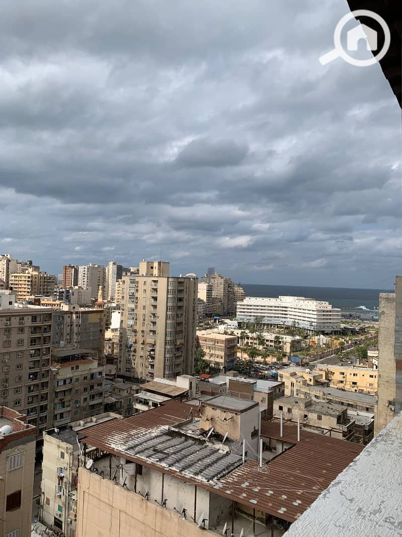 4 WhatsApp Image 2026-01-19 at 15.03. 05 (2). jpeg