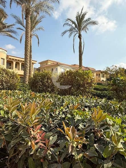 4 617726858_25495326336803622_6711582989729660902_n. jpg