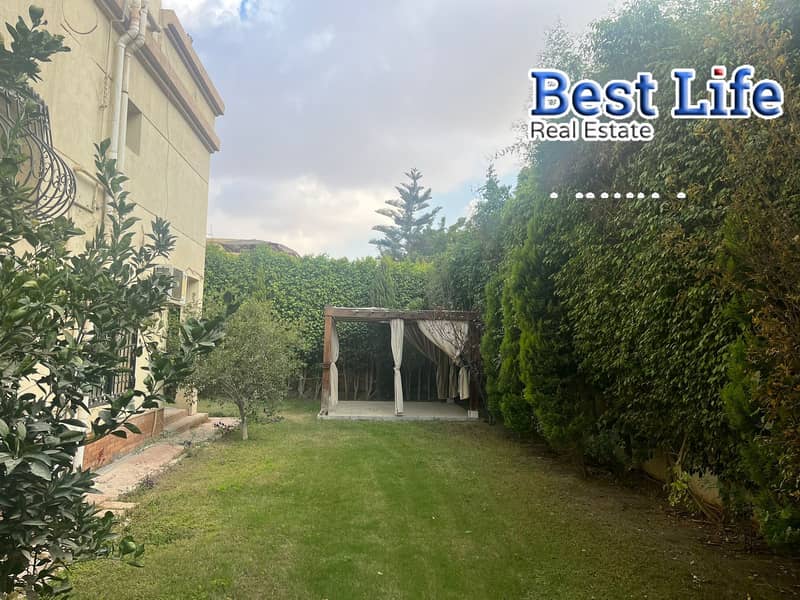 6 6804ef1ad63ba_135f11c5-2a5c-43e0-b563-42013eec56dc. jpg