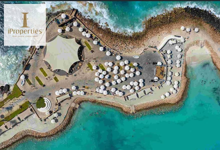 5 WhatsApp Image 2026-01-19 at 4.49. 46 PM (2). jpeg