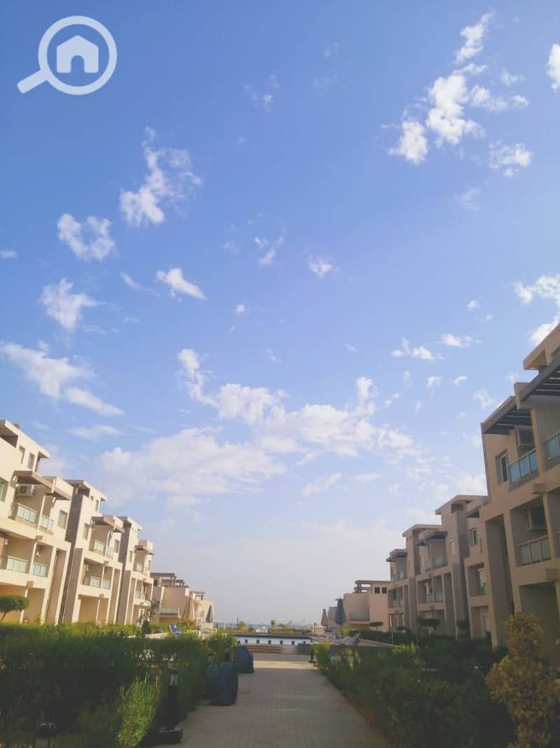 5 c31f862d-079e-4890-91d3-2bea32f0df41. jpg