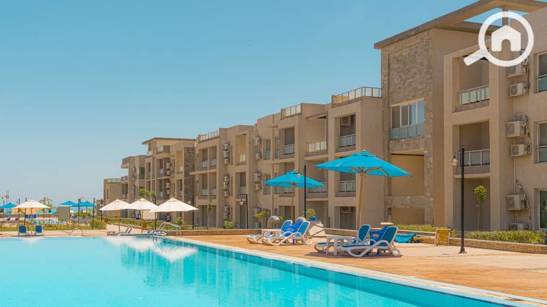 7 e302c06d-720d-4cb0-a4b9-46f8356880cb. jpg