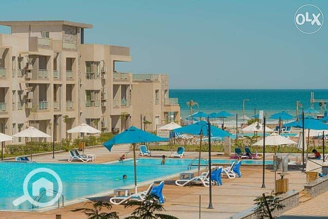 9 13848003-600x450. jpeg