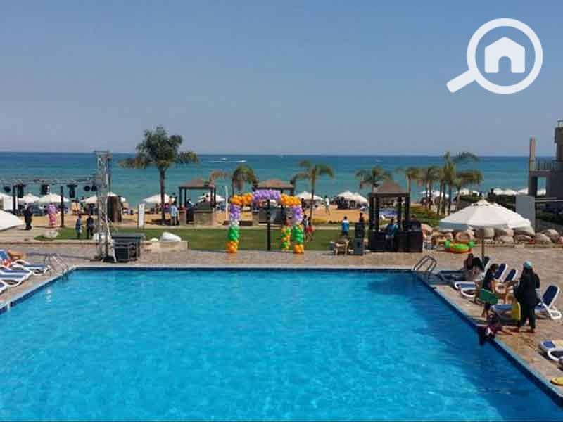 10 cde33c20-4f81-49ff-9ee9-be5e80be6873. jpg