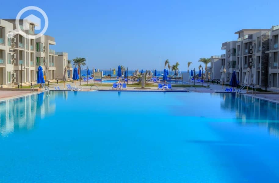 12 gTMAm88ivgJIS_37u1LCP-default. jpeg