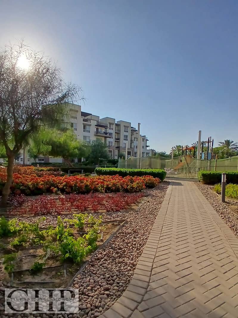 10 c1f1bd56-ec19-4249-af65-74ef21a506a1. jpg