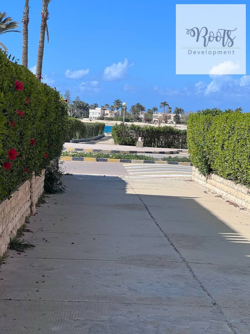 2 WhatsApp Image 2026-01-12 at 1.50. 31 AM (3). jpeg