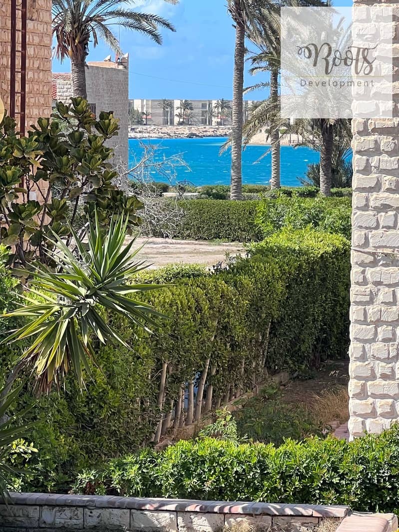 14 WhatsApp Image 2026-01-12 at 1.50. 30 AM (2). jpeg