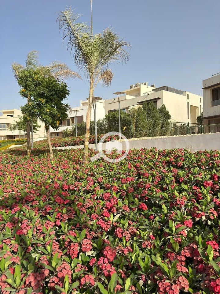 7 527387499_24177757371913948_684845602109164947_n. jpg