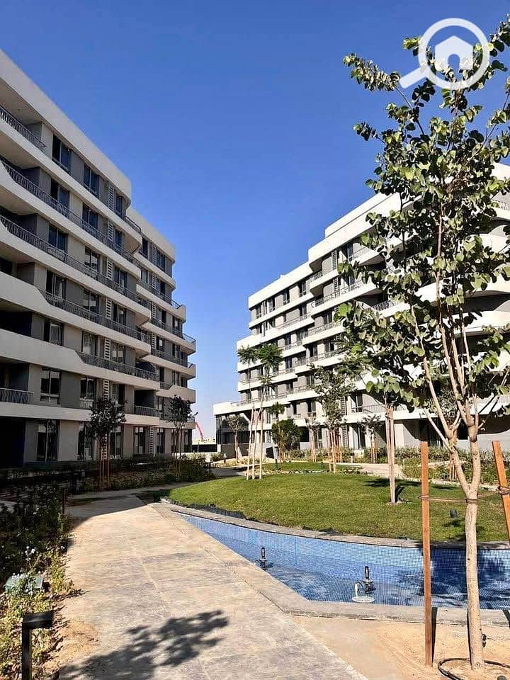 10 600269456_1380791610444540_253161629890204505_n. jpg