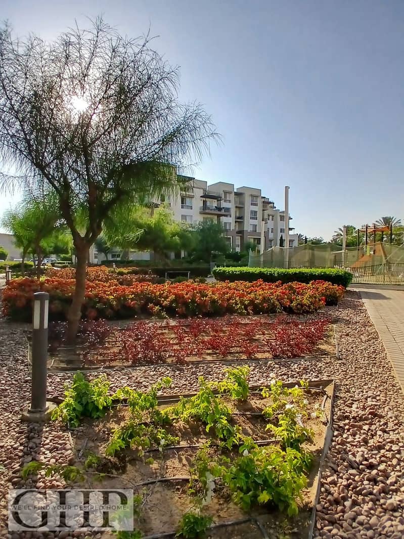 12 79222b49-55ae-473a-82e4-1d0bbb57b93b. jpg