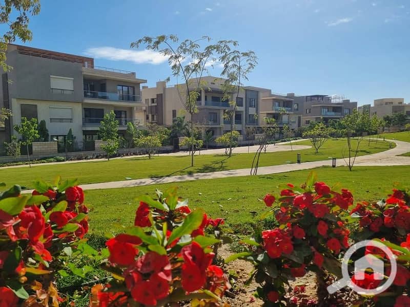 7 475982068_10170639494250301_8026885854244595212_n. jpg