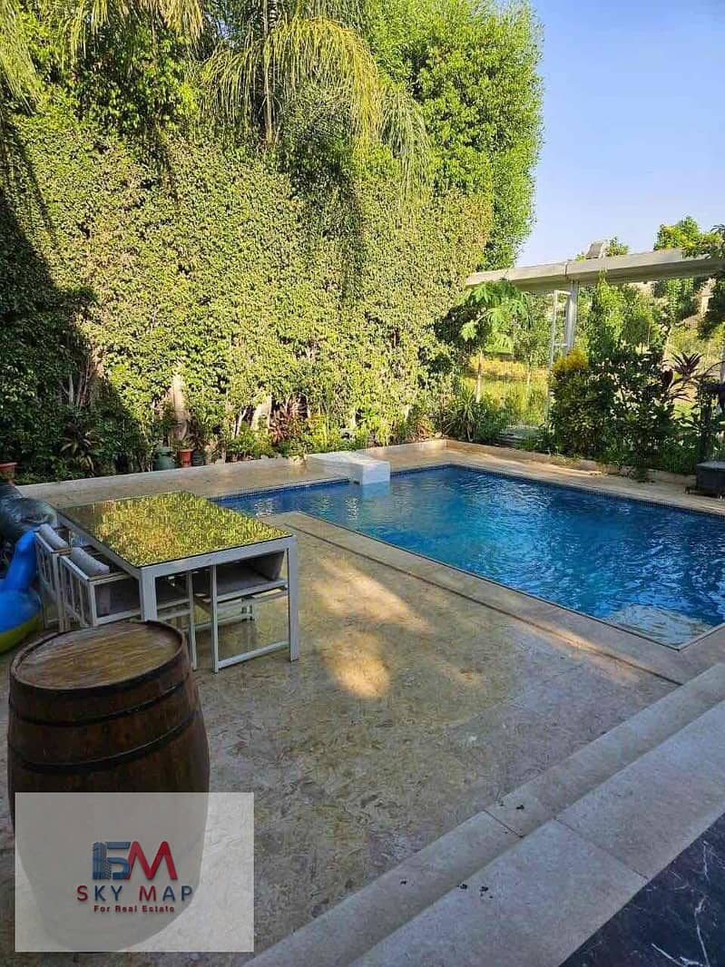 5 9cc051db-dd22-44d5-87e3-01f3069062f2. jpg