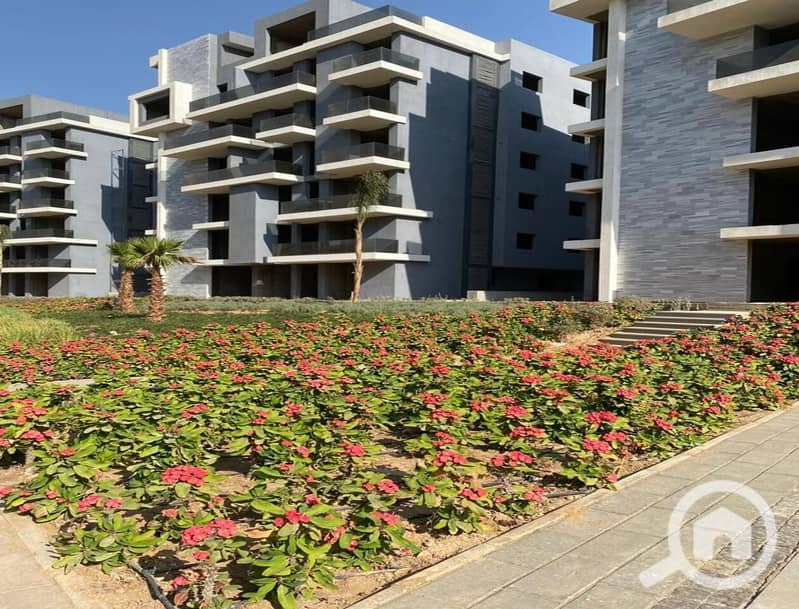 11 ccbba7a7-8415-4d61-ae21-df86cc95d63a. jpg