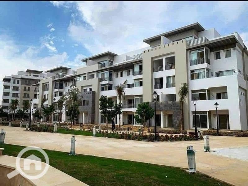 10 571457543_122107492257059392_6685179932605403327_n. jpg