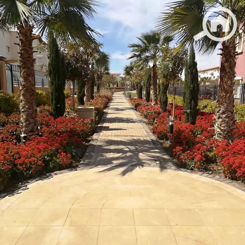 9 583136983_25078758635115523_6359994040810264353_n. jpg