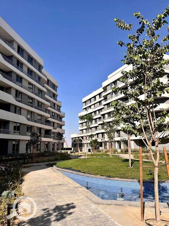 10 600269456_1380791610444540_253161629890204505_n. jpg