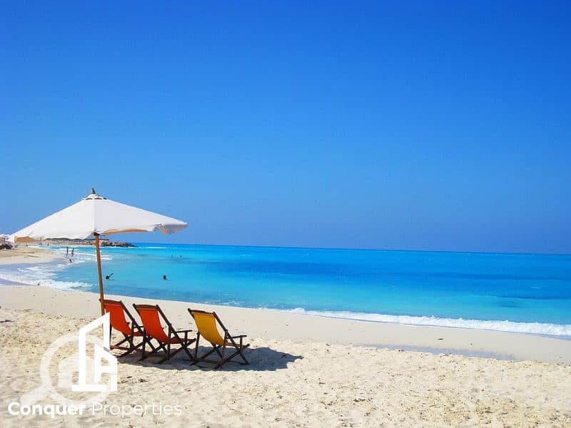 5 Untitled design - 2023-07-30T163222.835 (2). png