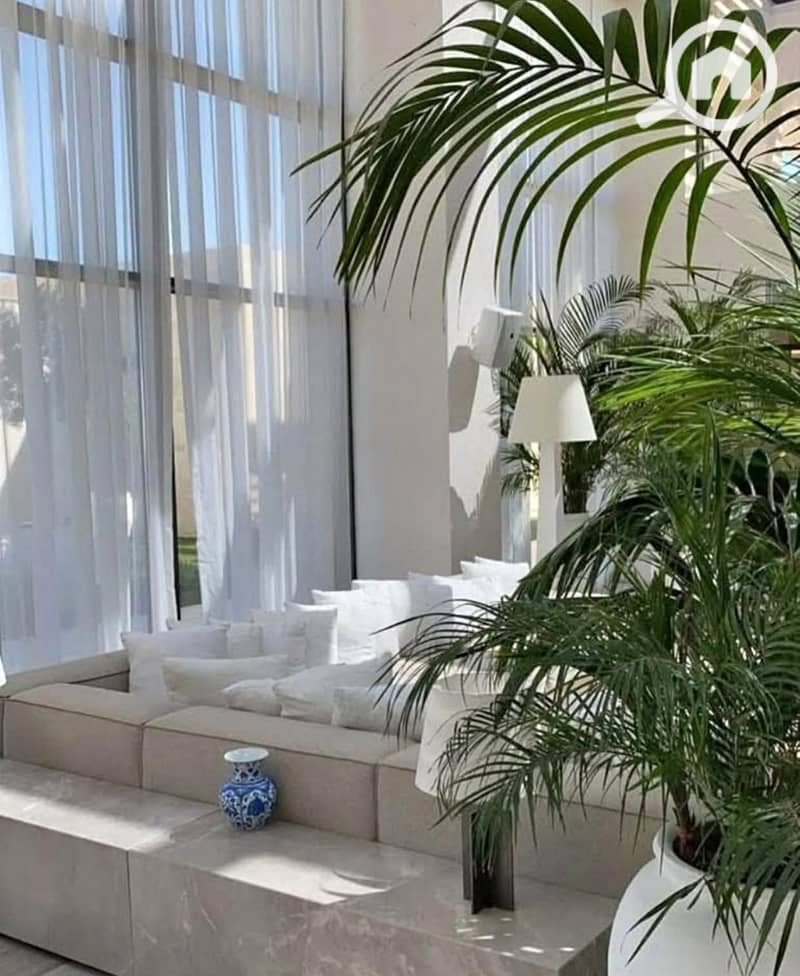 8 584907946_1403709921313759_9100709481838641474_n. jpg