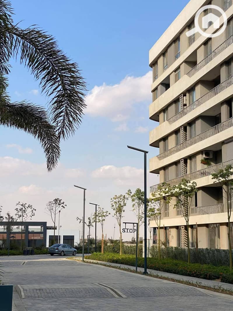 12 609188562_25274278748940537_7968063098852876607_n. jpg