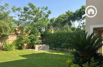 7 570990393_2337528810034893_3409299281418327902_n. jpg