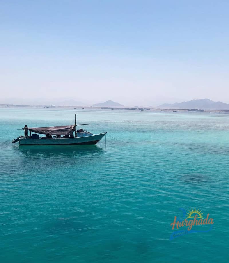 9 273636774_655004642586631_8778257934819454395_n. jpg