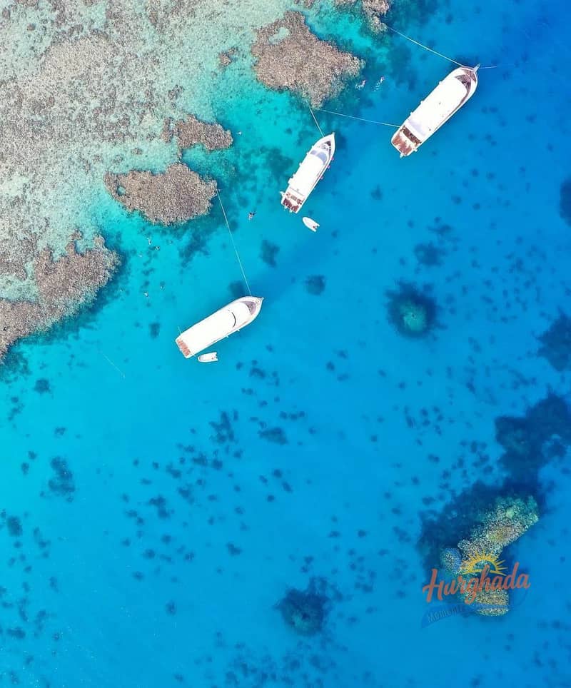 11 experience. sahlhasheesh_1724174839413. jpeg