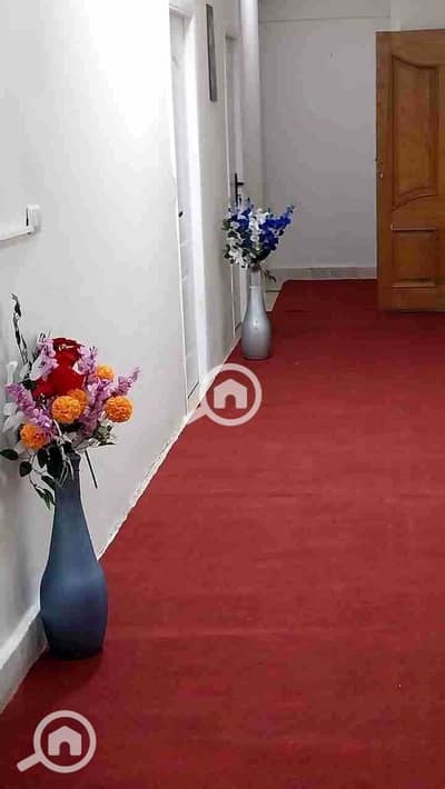 غرفة  للايجار في القاهرة الجديدة، القاهرة - 5IfcBVLWiUxmrrPQEWip0sRWILtX69Kn4FvYknsM. jpg