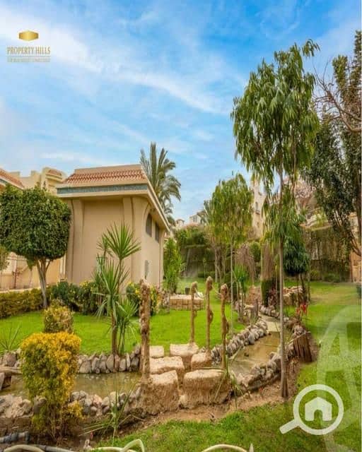 11 cd55c5ab-dc2c-4b12-b9d7-11e7a9263bd3. jfif. jpg