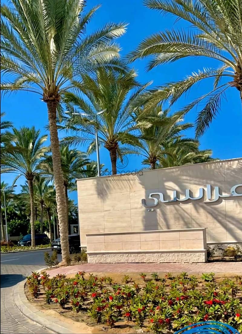 10 c37b5439-1127-4ebc-b4b9-93eb175b57f1. jpg