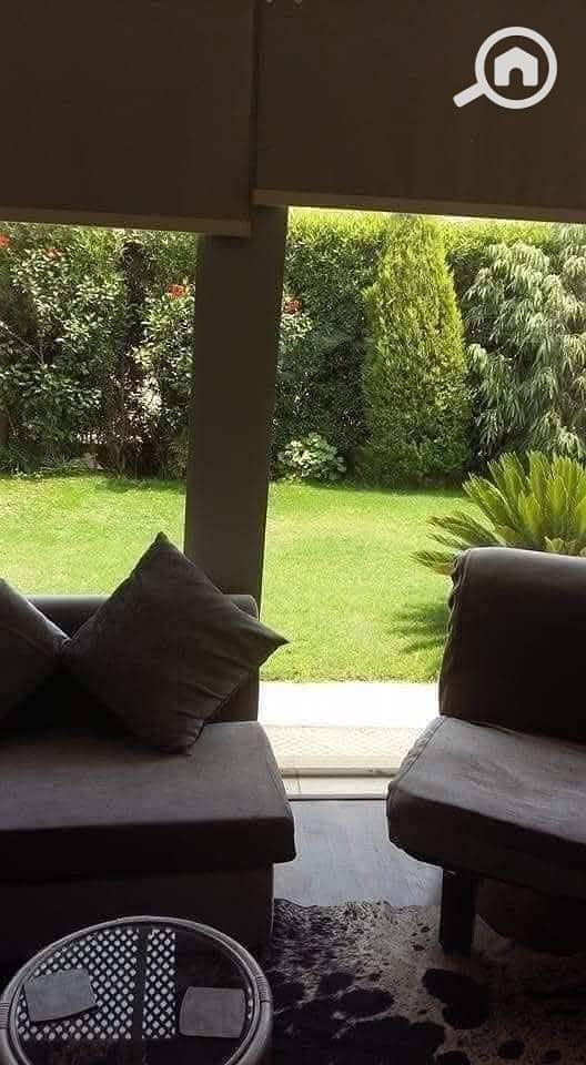 5 FB_IMG_1745370789083. jpg